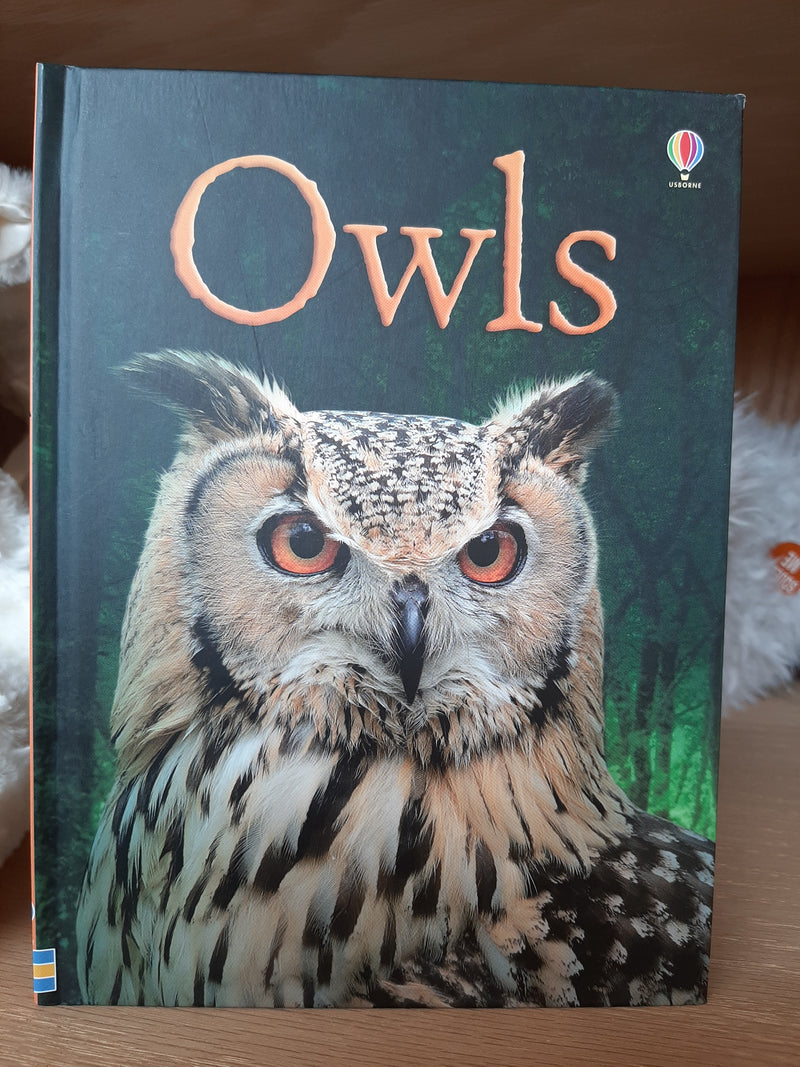 Owls ~ Usborne Beginner Book