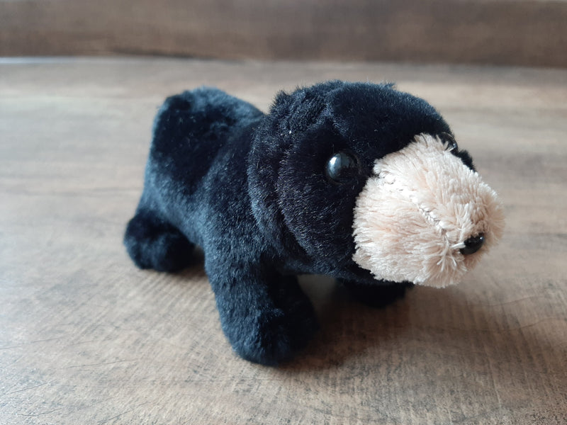 Folkmanis Black Bear Finger Puppet